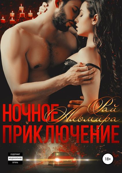 Обложка книги  «Ночное приключение»