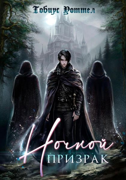 Обложка книги  «Ночной призрак»