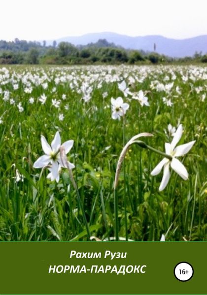 Обложка книги  «Норма-парадокс»