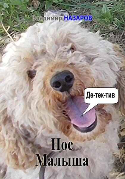 Обложка книги  «Нос Малыша»