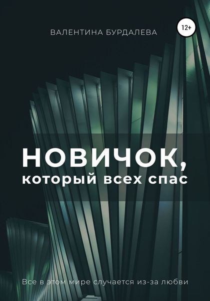 Обложка книги  «Новичок, который всех спас»