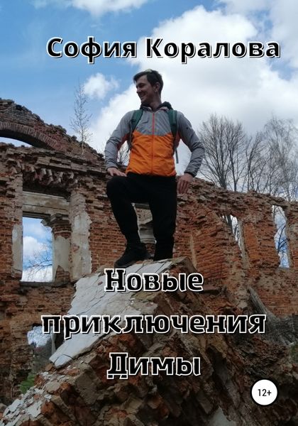 Обложка книги  «Новые приключения Димы»