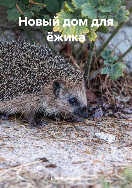 Обложка книги  «Новый дом для ёжика»