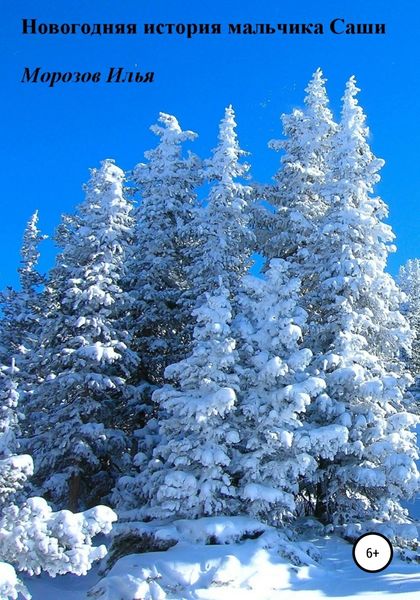 Обложка книги  «Новогодняя история мальчика Саши»