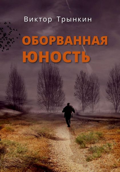 Обложка книги  «Оборванная юность»