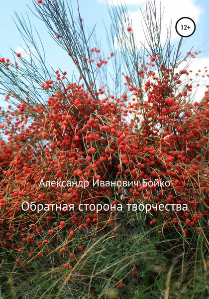 Обложка книги  «Обратная сторона творчества»