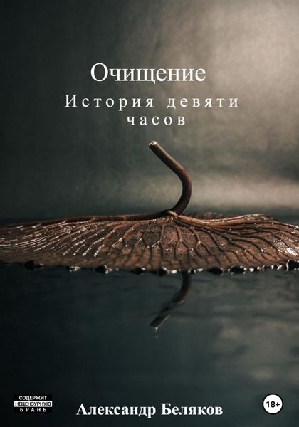 Обложка книги  «Очищение»