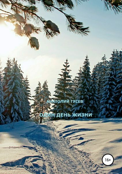 Обложка книги  «Один день жизни»