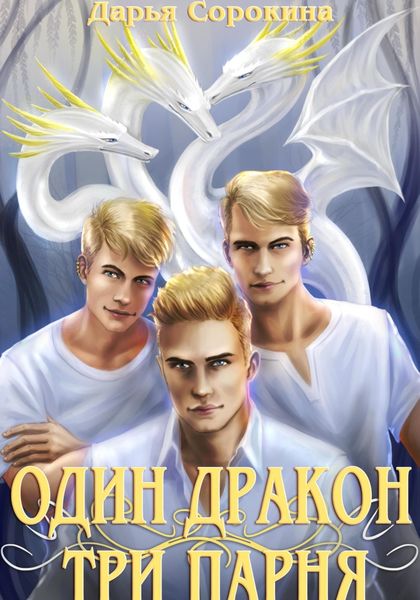 Обложка книги  «Один дракон – три парня»