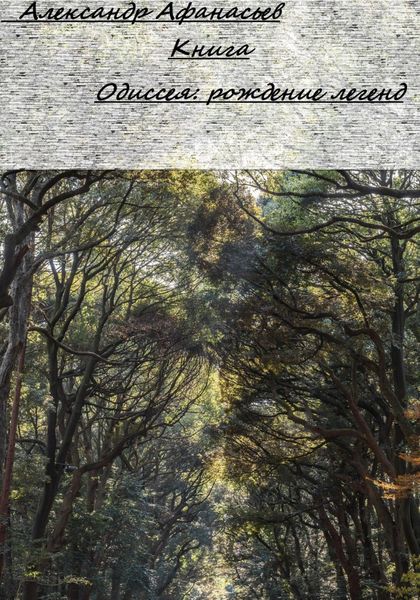 Обложка книги  «Одиссея: Рождение легенд»