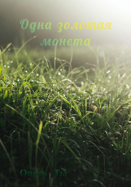 Обложка книги  «Одна золотая монета»