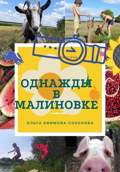 Обложка книги  «Однажды в Малиновке»