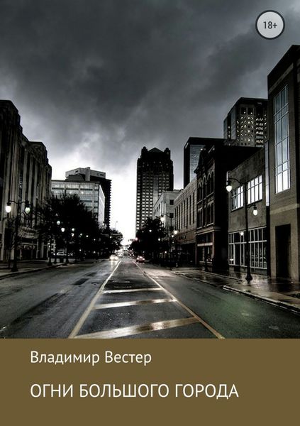 Обложка книги  «Огни большого города»
