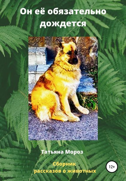 Обложка книги  «Он её обязательно дождется»