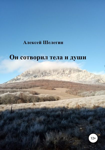 Обложка книги  «Он сотворил тела и души»