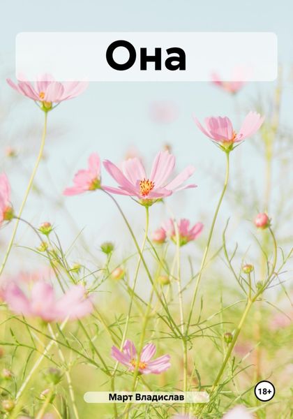 Обложка книги  «Она»