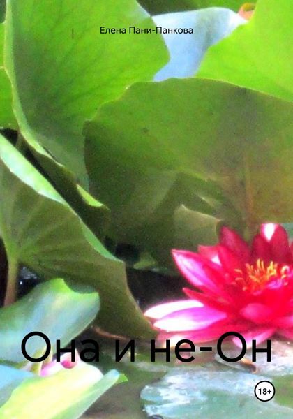 Обложка книги  «Она и не-Он»