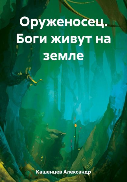 Обложка книги  «Оруженосец. Боги живут на земле»