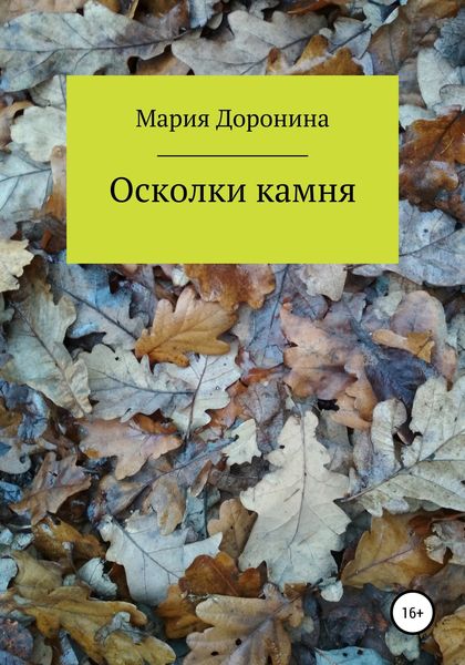 Обложка книги  «Осколки камня»