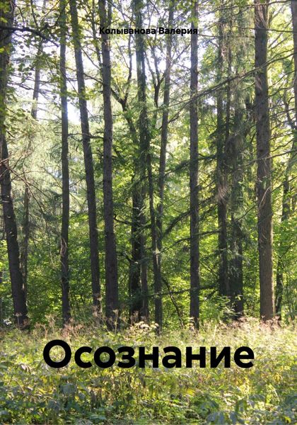 Обложка книги  «Осознание»