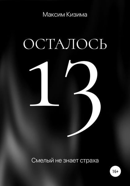 Обложка книги  «Осталось 13»