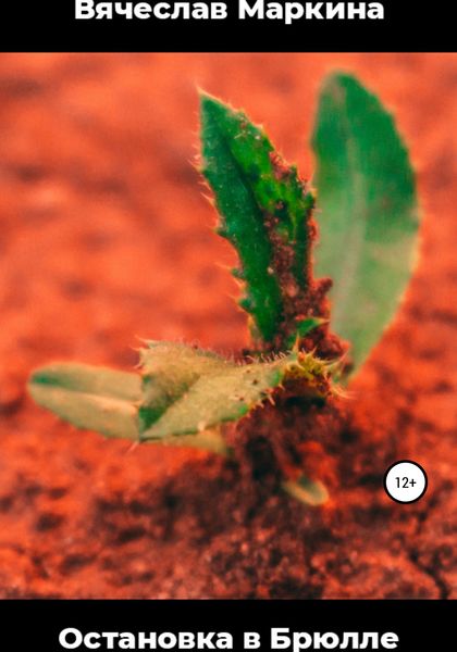 Обложка книги  «Остановка в Брюлле»