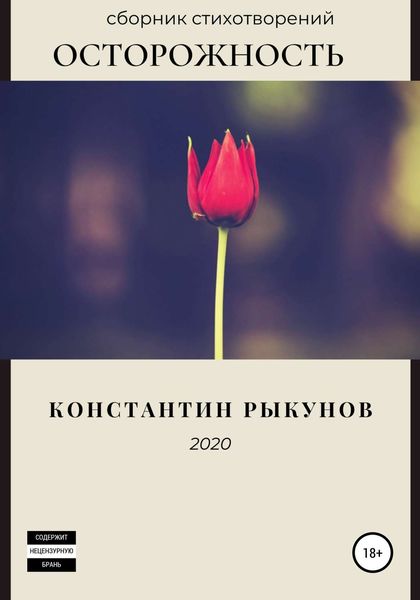 Обложка книги  «Осторожность»