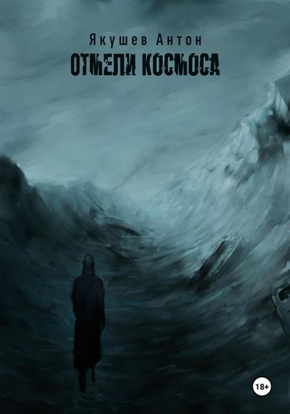 Обложка книги  «Отмели космоса»