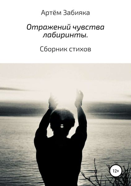 Обложка книги  «Отражений чувства лабиринты. Сборник стихов»