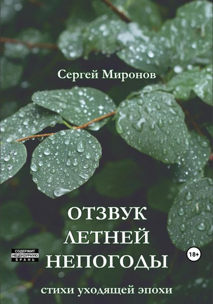 Обложка книги  «Отзвук летней непогоды»