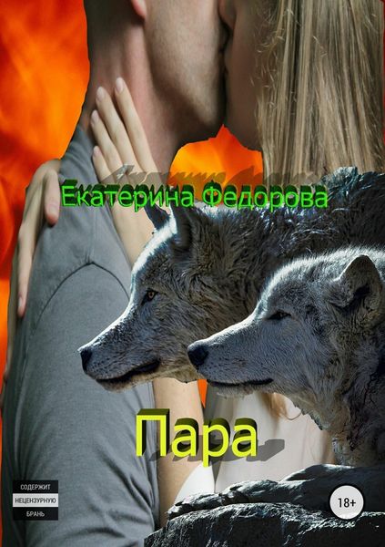 Обложка книги  «Пара»