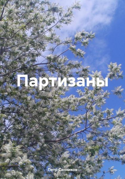 Обложка книги  «Партизаны»