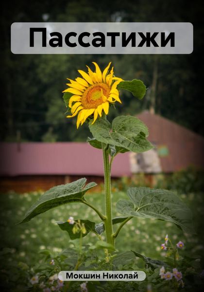Обложка книги  «Пассатижи»