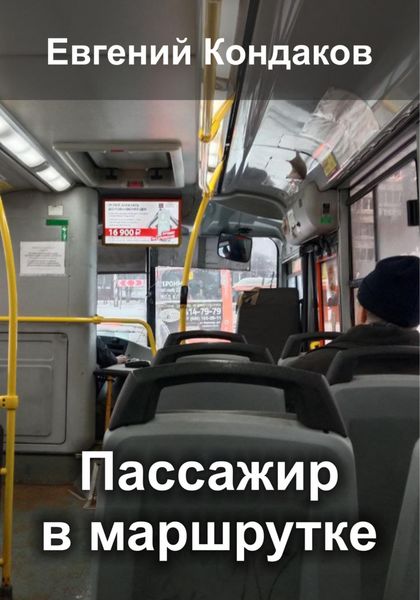 Обложка книги  «Пассажир в маршрутке»