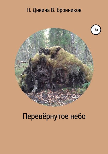 Обложка книги  «Перевернутое небо»