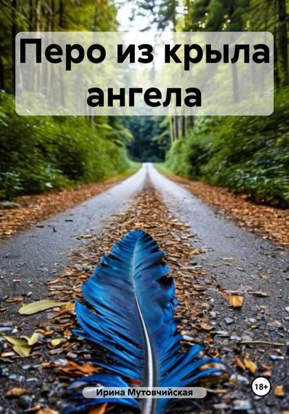 Обложка книги  «Перо из крыла ангела»