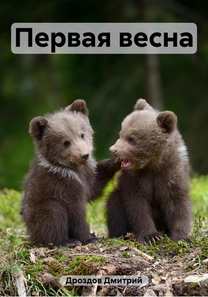Обложка книги  «Первая весна»