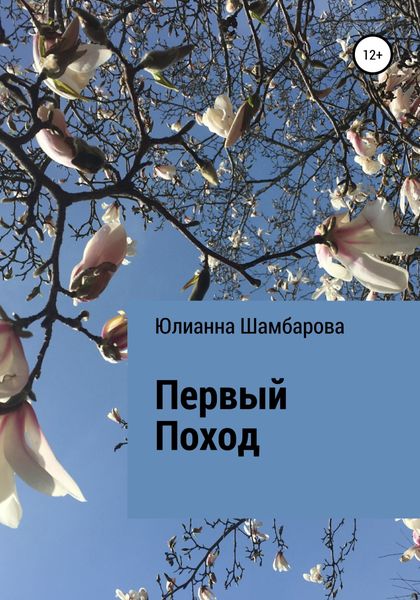 Обложка книги  «Первый поход»