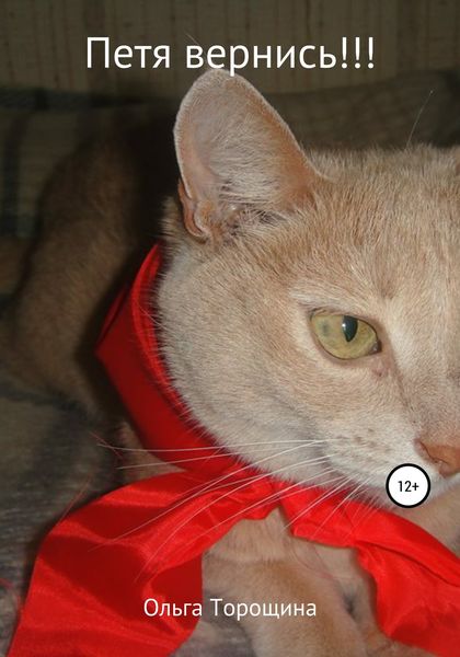 Обложка книги  «Петя, вернись!!!»