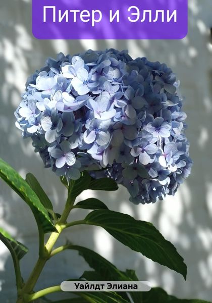 Обложка книги  «Питер и Элли»