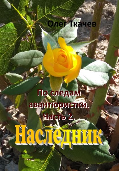 Обложка книги  «По следам авантюристки. Часть 2. Наследник»