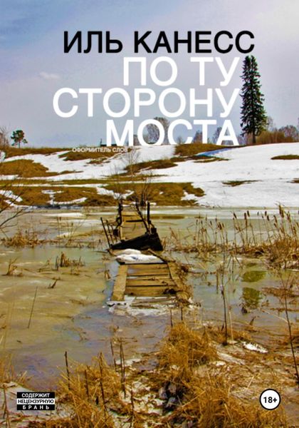 Обложка книги  «По ту сторону моста»