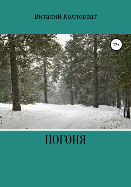Обложка книги  «Погоня»