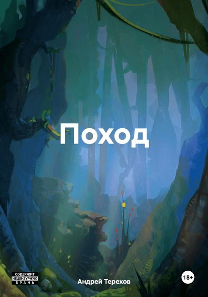 Обложка книги  «Поход»