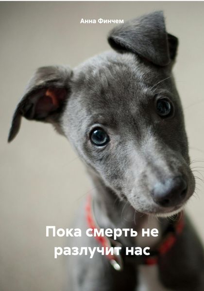 Обложка книги  «Пока смерть не разлучит нас»