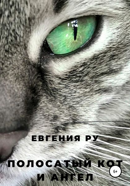 Обложка книги  «Полосатый кот и ангел»