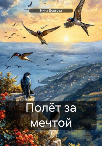 Обложка книги  «Полёт за мечтой»