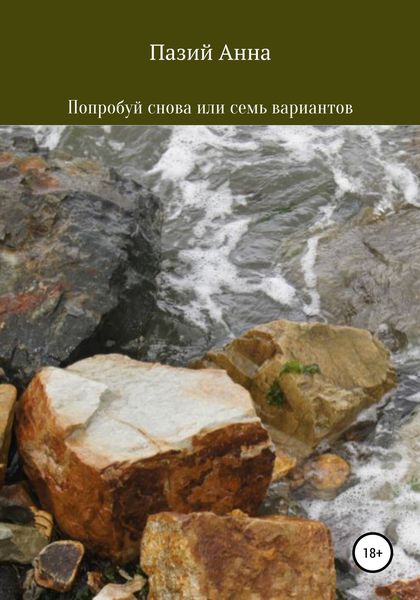 Обложка книги  «Попробуй снова или семь вариантов»