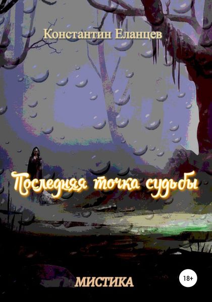 Обложка книги  «Последняя точка судьбы»