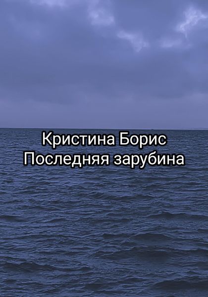 Обложка книги  «Последняя зарубина»